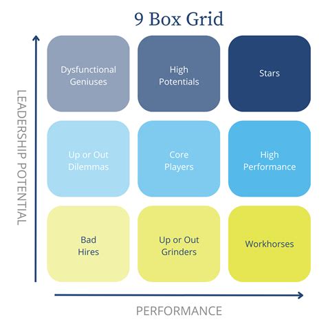 9 box grid distribution percentage|9 box assessment tool.